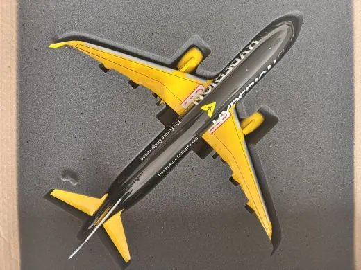 Your custom painted Aircraft