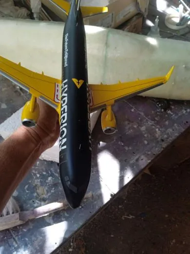 Your custom painted Aircraft