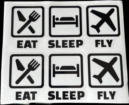 EAT SLEEP FLY Sticker