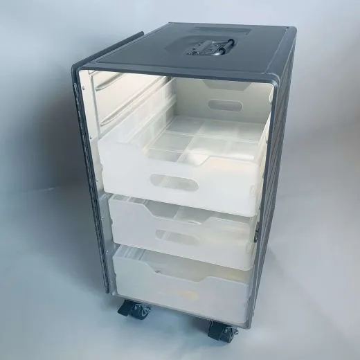 Flugzeugtrolley Einschub GER