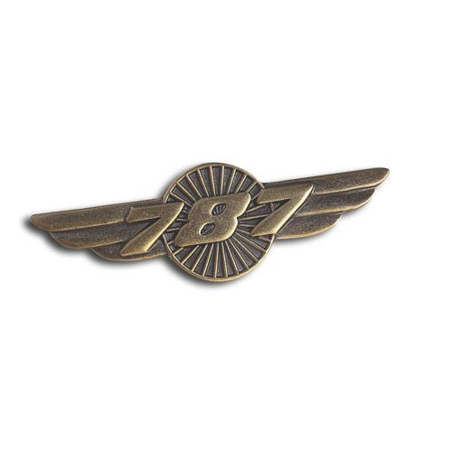 Boeing 787 Pin Wings